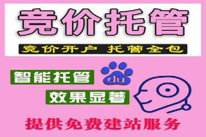 案例研究：SEM推广助力企业实现业绩增长